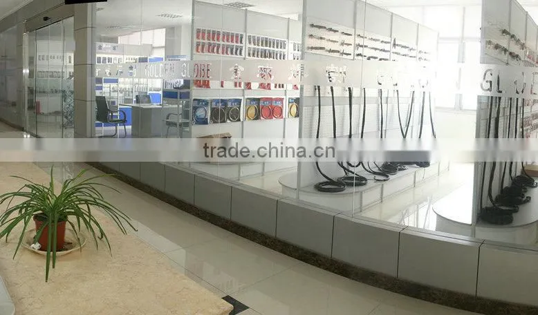 Changzhou Asia Science & Technology Co., Ltd. company overview - view 3