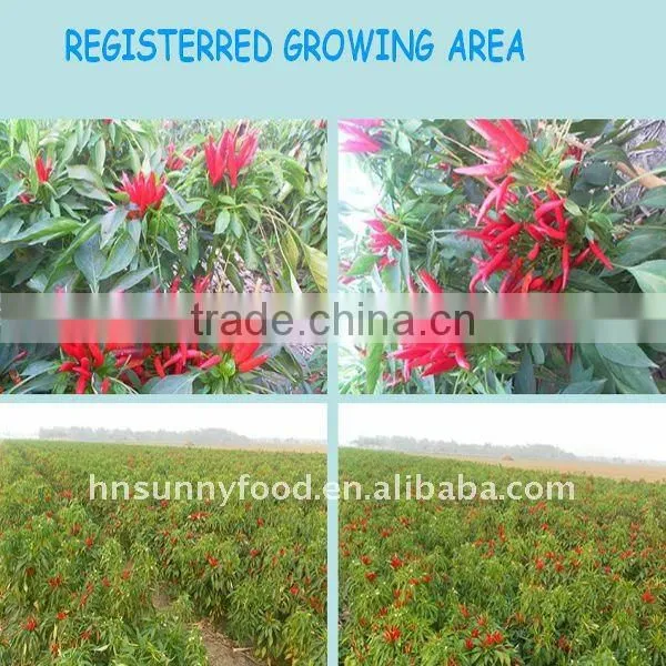 Chili Supplier HOT CHILI POWDER
