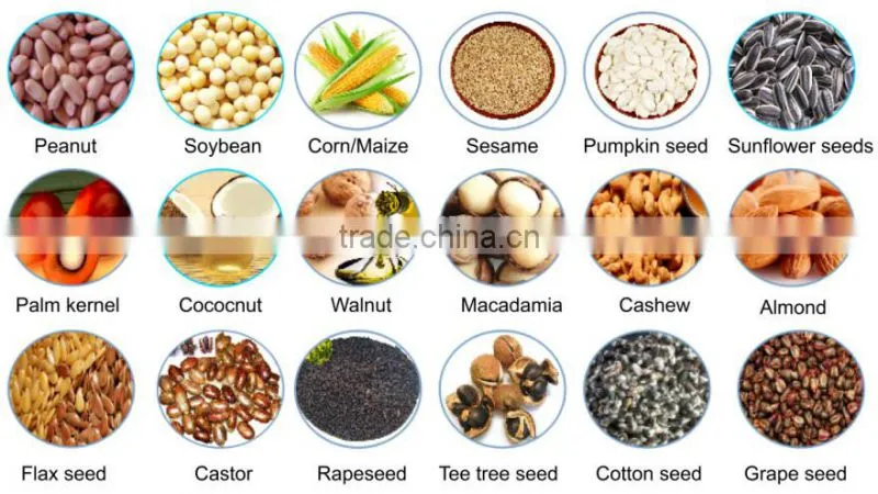 Hot sales 6YL-80A small automatic cold press oil press oil expeller
