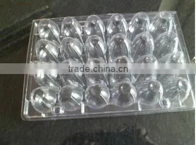 quail egg boxes