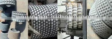 Briquetting Roller Press