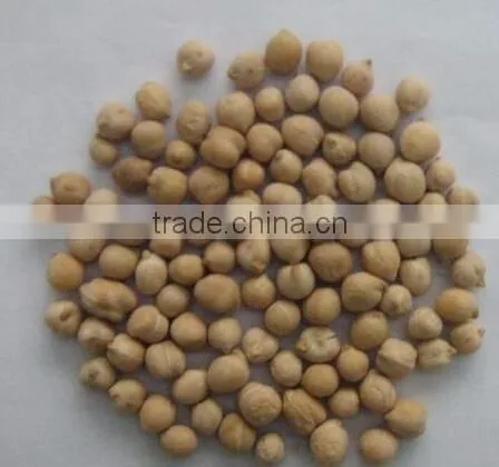 chick peas color sorting machine from Anhui Wenyao
