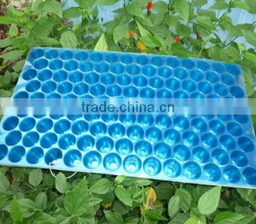 New products High reflective competitive price black seedling trays