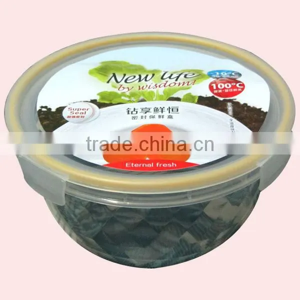 Take away Plastic Lunch Box with Lock