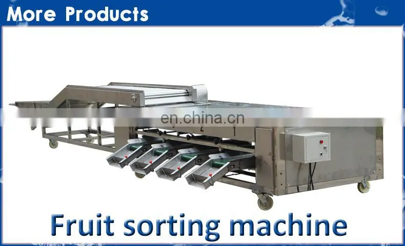 commercial sweet potato baby carrot tomato onion vegetable orange peach apricot blueberry small fruit brush washing machine