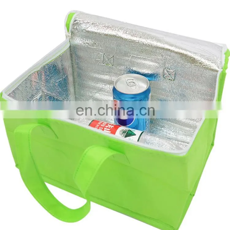 Good Quality Sell Well Non Woven Cooler Bag for Frozen Food
