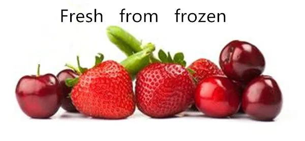 Ammonia 500kg/H Plate Frozen Tunne Belt Fluidized Icecrem Smallest Cooling Tunnel Iqf Shrimp Spiral Freezer blast frozen