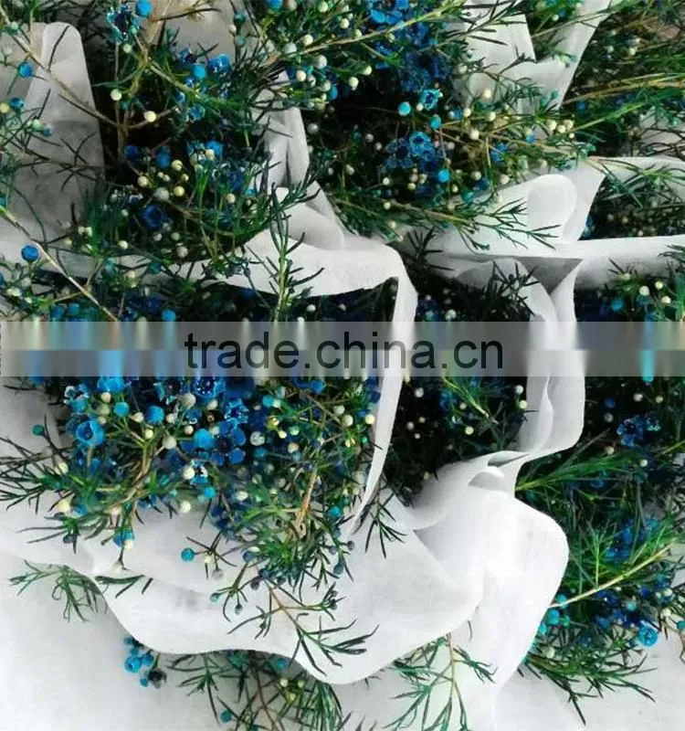 Colorful OEM decorative chimonanthus