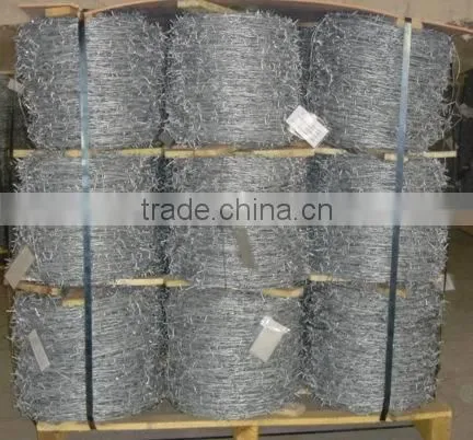 Stainless steel security electro galvanized barbed wire
