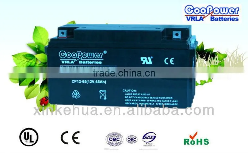 Sealed Lead acid battery/12V65AH UPS battery/Rechargeable Battery/Solar Battery