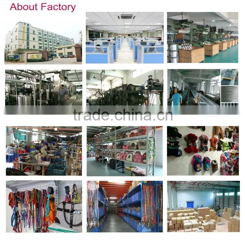 1 Inch Colorful wholesale Heavy nylon webbing