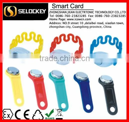 Free Sample Rewritable Ibutton Chip with RW1990 High Tech