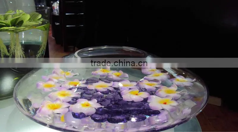 Big Glass fish flower vase tank bowl