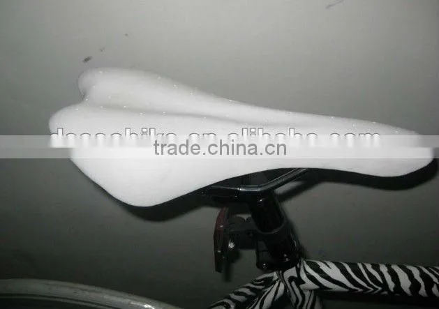 Fixed gear bicycle