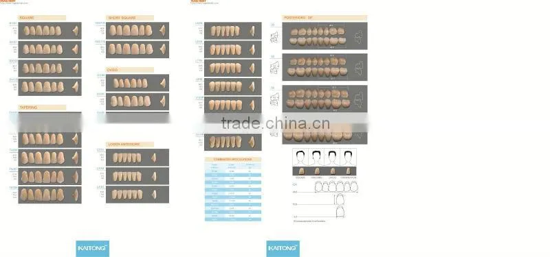 2 Layer denture KAITONG
