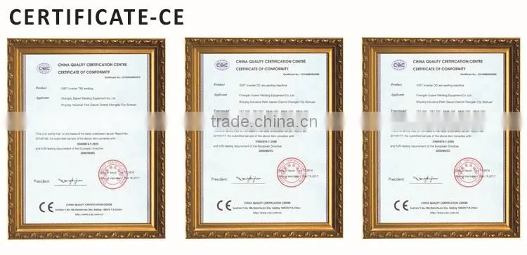 Special AC DC pulse aluminium welding machine WSME-315 TIG welder