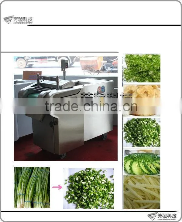 FC Hot Selling High Efficient Automatic Vegetable Cutter/Vegetable Cuttting Machine