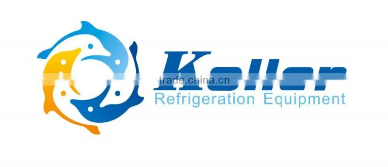 Koller hot sale small capacity cold storage room with refrigerators for fruits VCR20