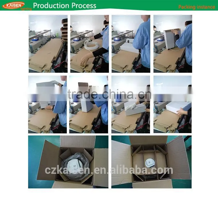 induction light source