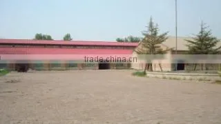 Shijiazhuang Tianyihengtong Textile Co., Ltd. company overview - view 1