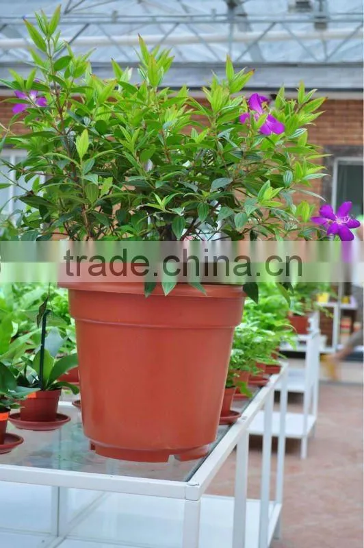 Folded brim abrasive disc ( plastic flower pot )