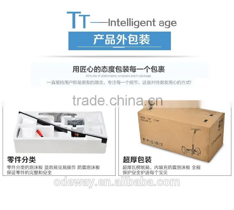 2016 New model of TT two wheel smart balance electric scooter/skateboard with ce and rohs and Big LED screen display