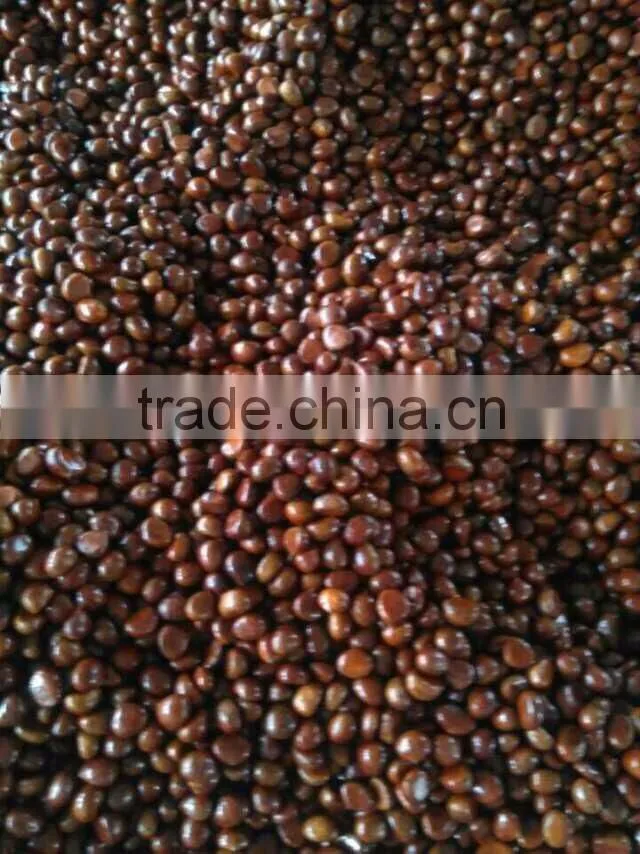 organic water chestnut best quality