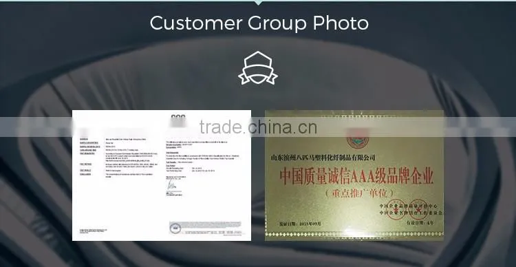 Alibaba China Supplier Balcony Protection Net