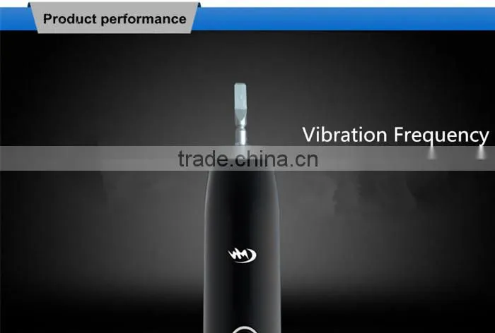 USB charging cable Two brush head waterproof electric toothbrush