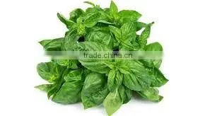 STAVIA POWDER FOR AYURVEDIC REMEDY