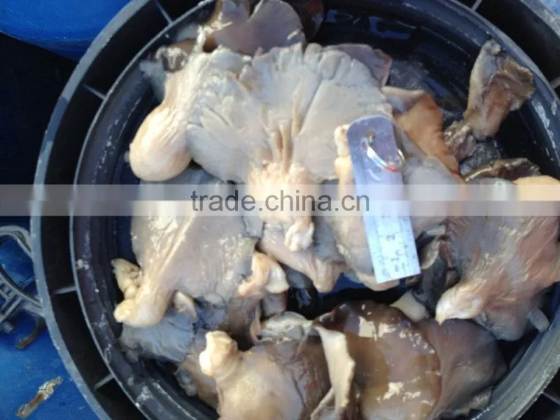 Pleurotus in brine