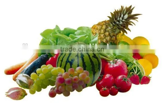 hot sale food dehydrator equipment exported to many countries