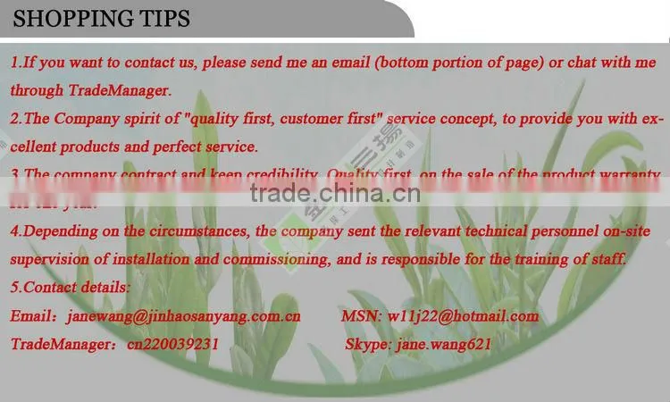 conveyor line belt conveyor system
