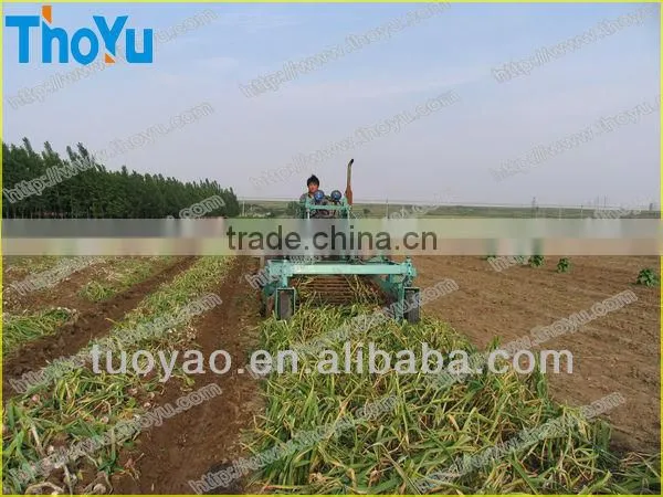Salable Fresh Garlic Grading Machine 0086 15937167907