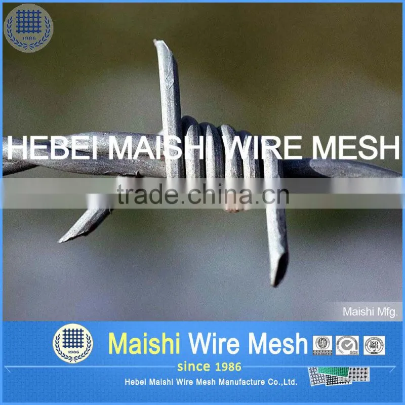 Hebei Maishi (HOT sale ) barbed wire for fencing