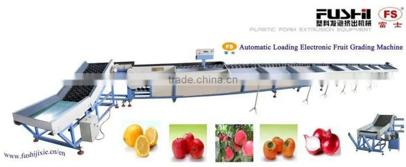 Fruit Cleaing Waxing and Grading Machine