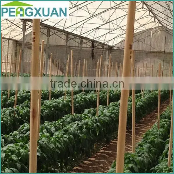 wholesale natural eucalyptus vineyard grape stakes for plant support