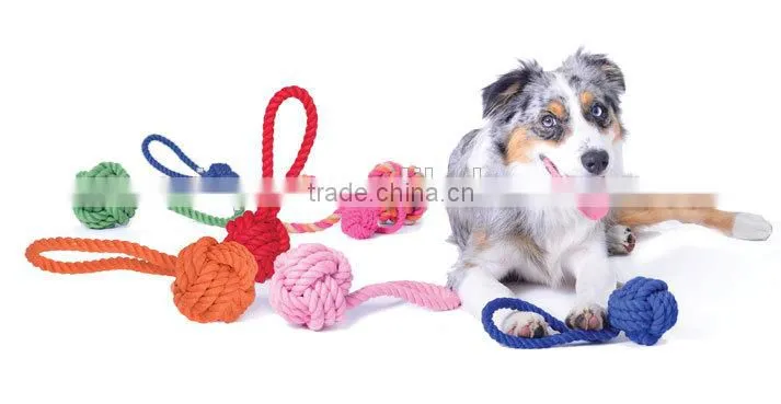 Plush pet toy for dog with squeaker
