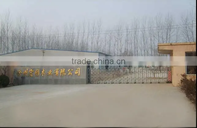 2016 Nne fashion whosales knotted bamboo fruit pick sticks with cheap price