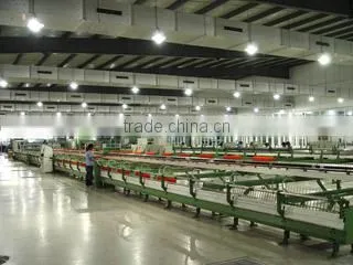 Hebei Dilly Fashion Co., Ltd. company overview - view 4