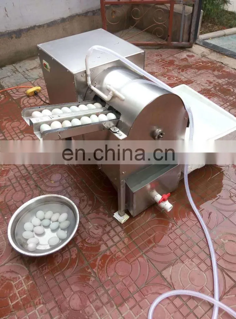 High efficient egg washer machine | egg cleaning machine | low price egg washing machine