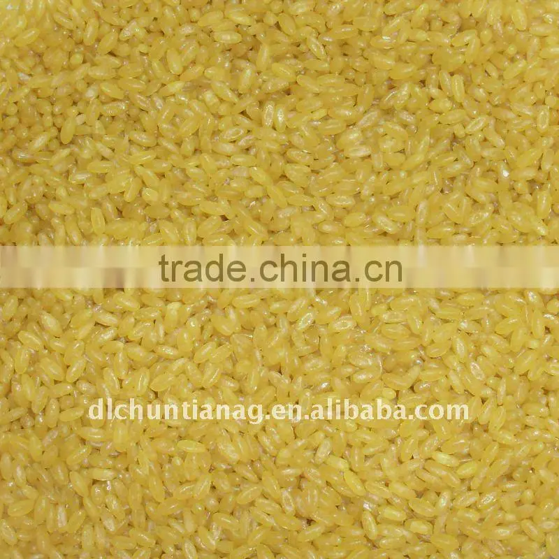 golden rice