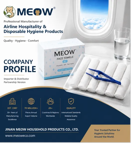 Beyond Wipes: How Nonwoven Products Are Creating New Opportunities for Global Buyers
