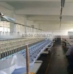 Guangzhou Citilace Limited Company company overview - view 3