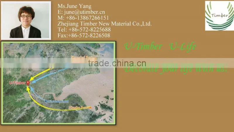 Water proof wood plastic composite outdoor WPC wall facade
