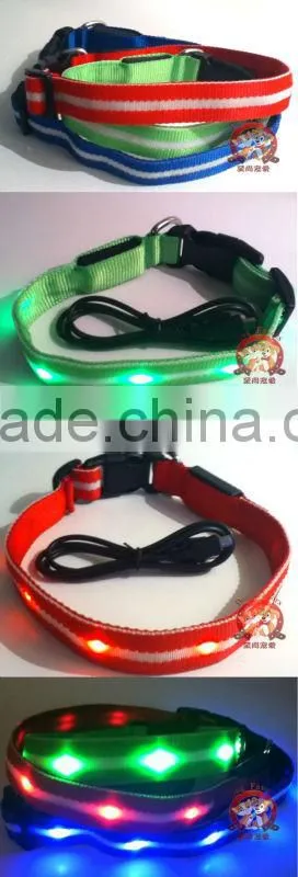 Rechargeable LED Lighted Dog Collar by Serendipity