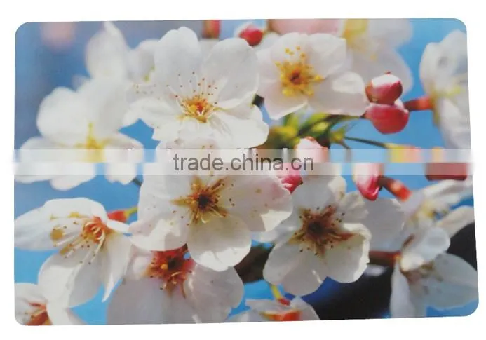 Cheap 3d kids plastic placemats