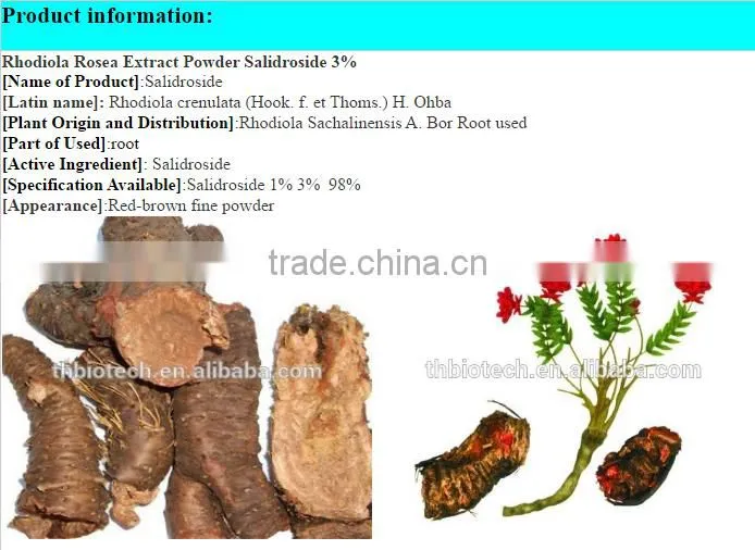 rhodiola rosea powder extract great stock and free sample