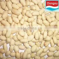 groundnut kernels peanuts