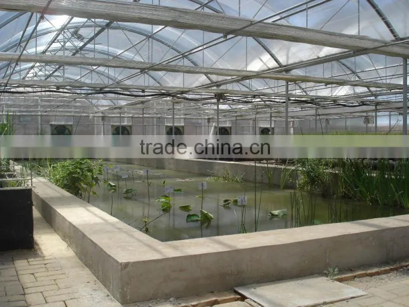 uv transparent plastic sheet / thick pvc plastic sheet / greenhouse polycarbonate sheet price